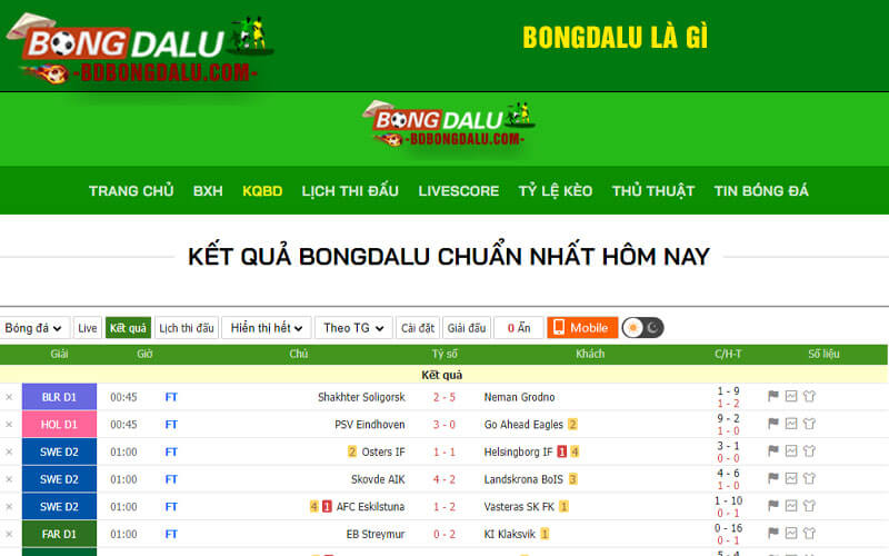Bongdalu là gì