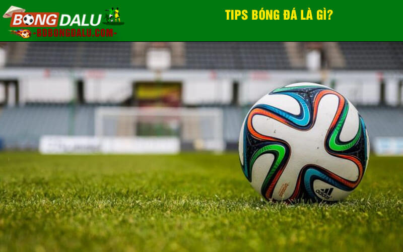 Tips bóng đá là gì