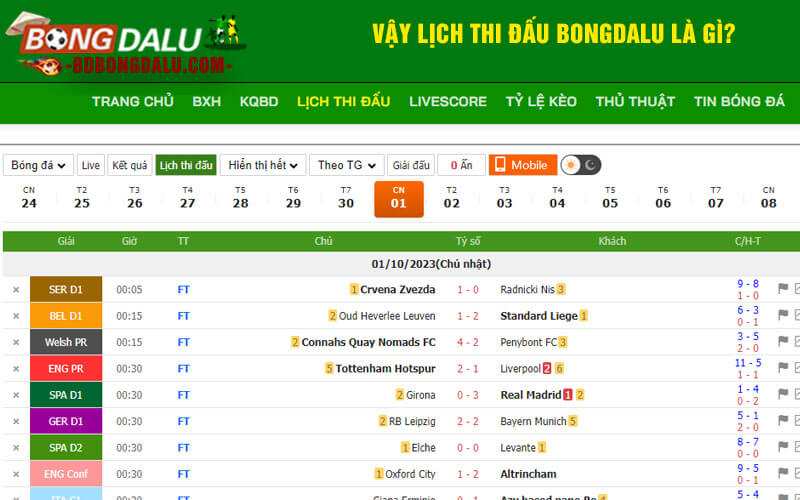 Vậy lịch thi đấu Bongdalu là gì