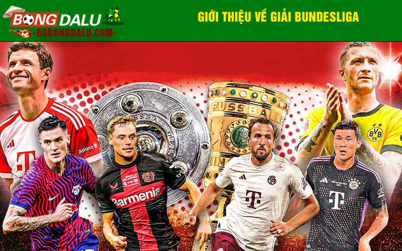 Giới thiệu về giải Bundesliga