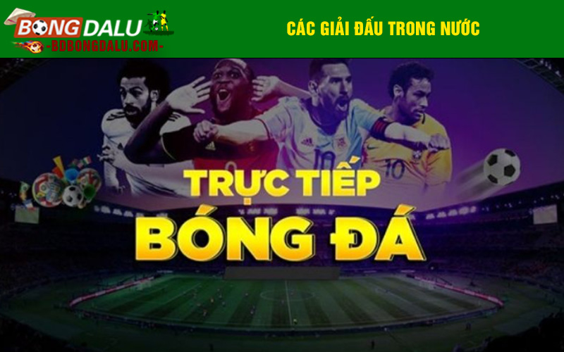 Các giải đấu trong nước