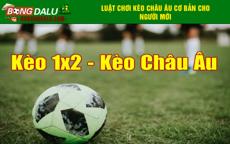 Luật chơi kèo châu Âu cơ bản cho người mới