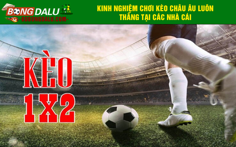 Kinh nghiệm chơi kèo châu âu luôn thắng tại các nhà cái