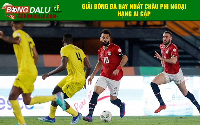 Giải bóng đá hay nhất châu Phi Ngoại hạng Ai Cập