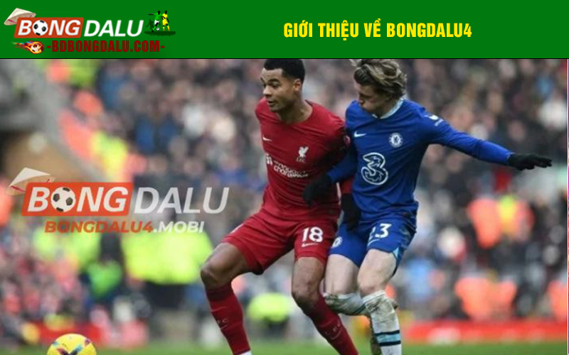 Giới thiệu về bongdalu4