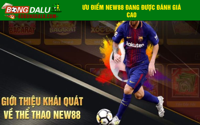 Điểm tốt cược thể thao tại New88