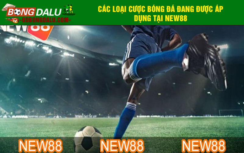Kèo phổ biến tại nhà cái