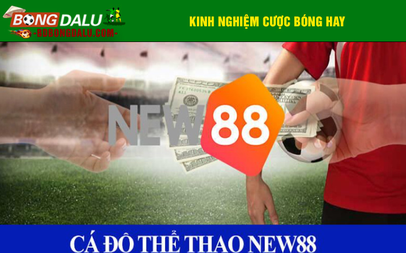 Kinh nghiệm cược bóng hay từ New88