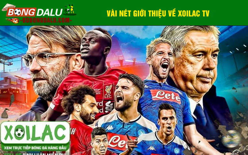 Vài nét giới thiệu về Xoilac TV
