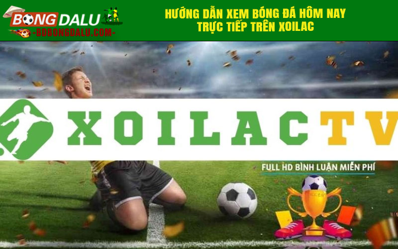 Hướng dẫn xem bóng đá hôm nay trực tiếp trên xoilac