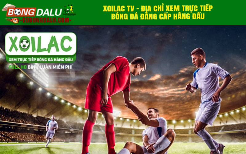 Xoilac TV - Địa chỉ xem trực tiếp bóng đá đẳng cấp hàng đầu