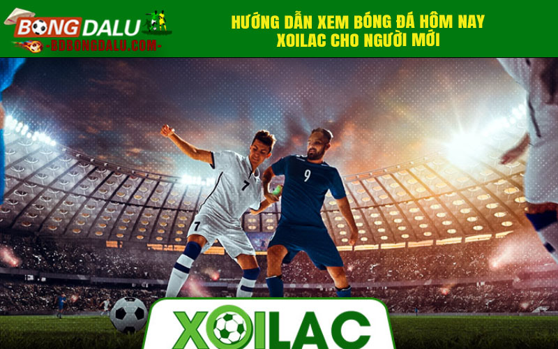 Hướng dẫn xem bóng đá hôm nay xoilac cho người mới