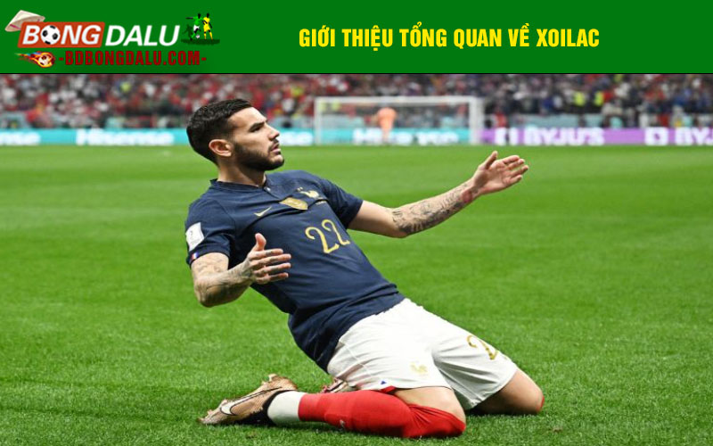 Giới thiệu tổng quan về Xoilac