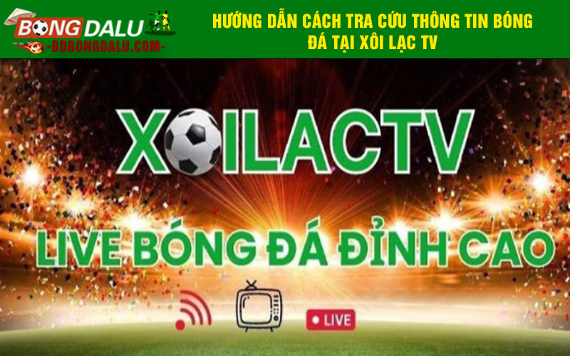 Hướng dẫn cách tra cứu thông tin bóng đá tại Xôi lạc tv