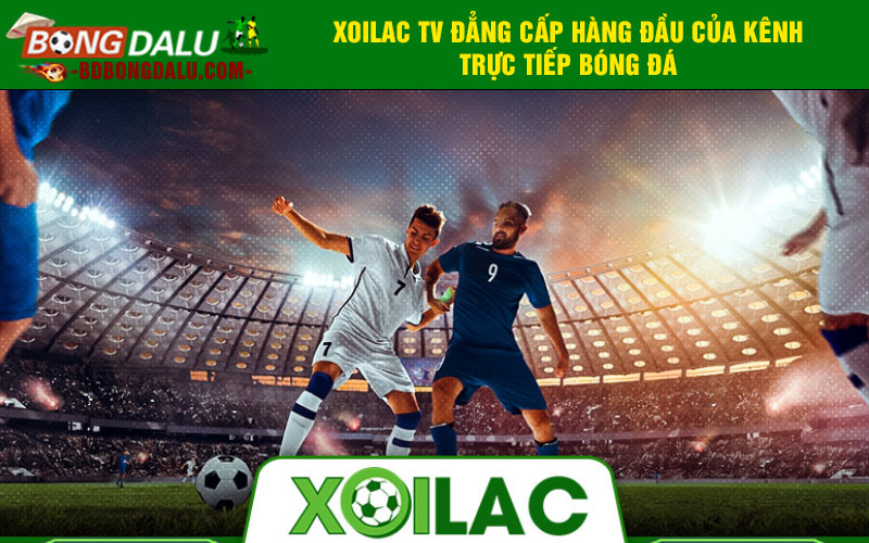 Xoilac TV đẳng cấp hàng đầu của kênh trực tiếp bóng đá