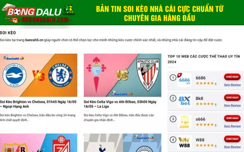 Bản tin soi kèo nhà cái cực chuẩn từ chuyên gia hàng đầu
