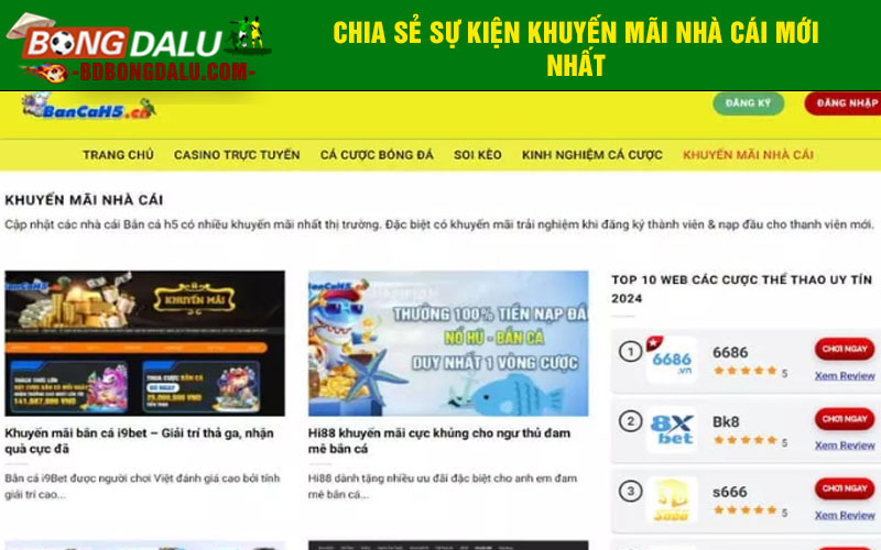 Chia sẻ sự kiện khuyến mãi nhà cái mới nhất