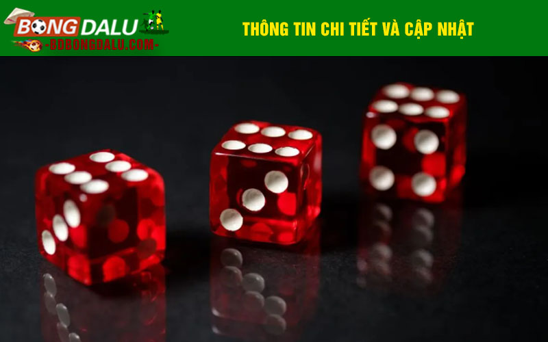 Thông tin chi tiết và cập nhật về chính sách bảo mật