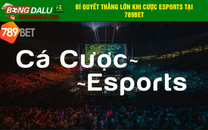 Bí quyết thắng lớn khi cược esports tại 789bet