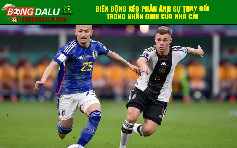 Biến động kèo phản ánh sự thay đổi trong nhận định của nhà cái