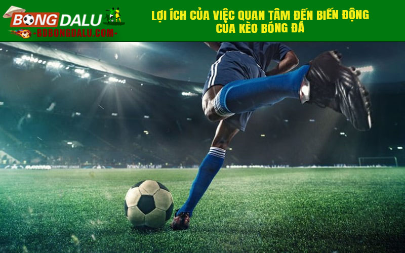 Lợi ích của việc quan tâm đến biến động của kèo bóng đá