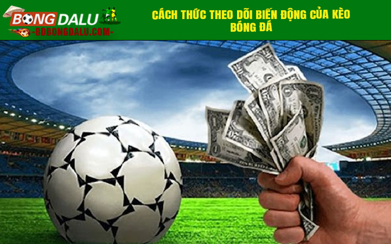 Cách thức theo dõi biến động của kèo bóng đá