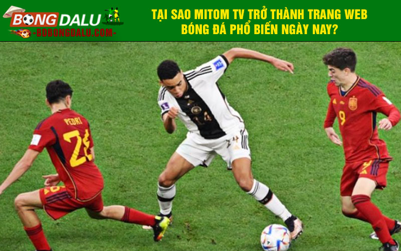 Tại sao Mitom TV trở thành trang web bóng đá phổ biến ngày nay?
