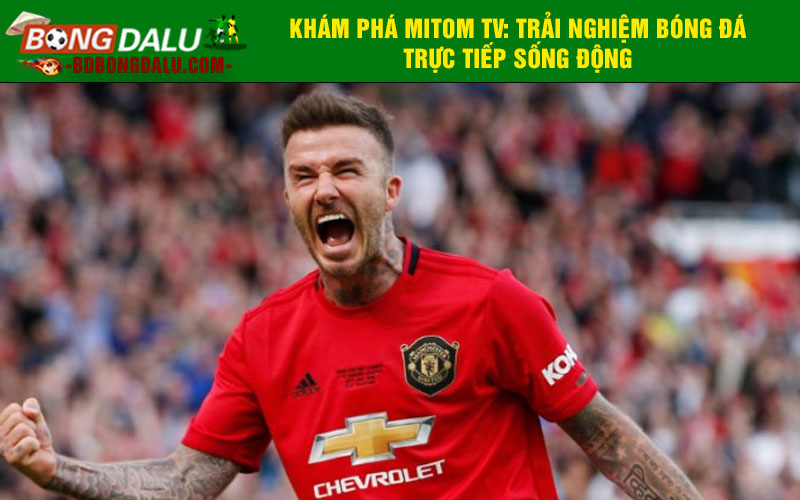 Khám phá Mitom TV: Trải nghiệm bóng đá trực tiếp sống động