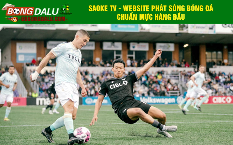 Saoke TV - Website phát sóng bóng đá chuẩn mực hàng đầu