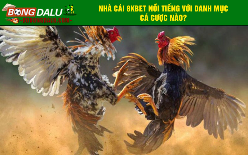 Nhà cái 8kbet nổi tiếng với danh mục cá cược nào?