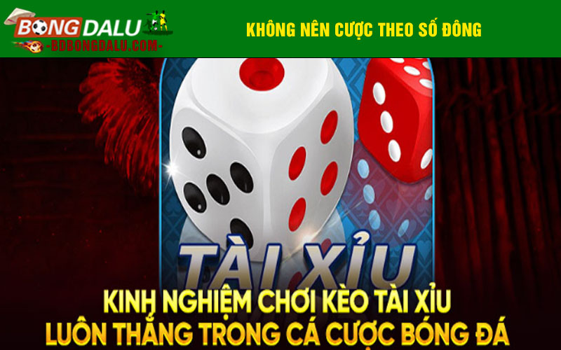Không nên cược theo số đông