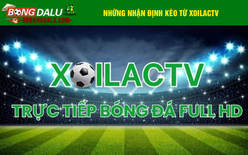 Những nhận định kèo từ Xoilactv