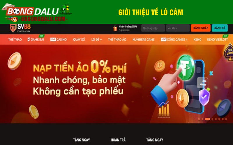 Giới thiệu về lô câm