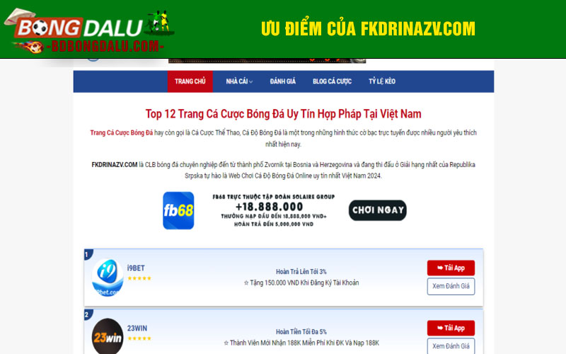 Trang web review top những trang cá độ bóng đá uy tín hàng đầu