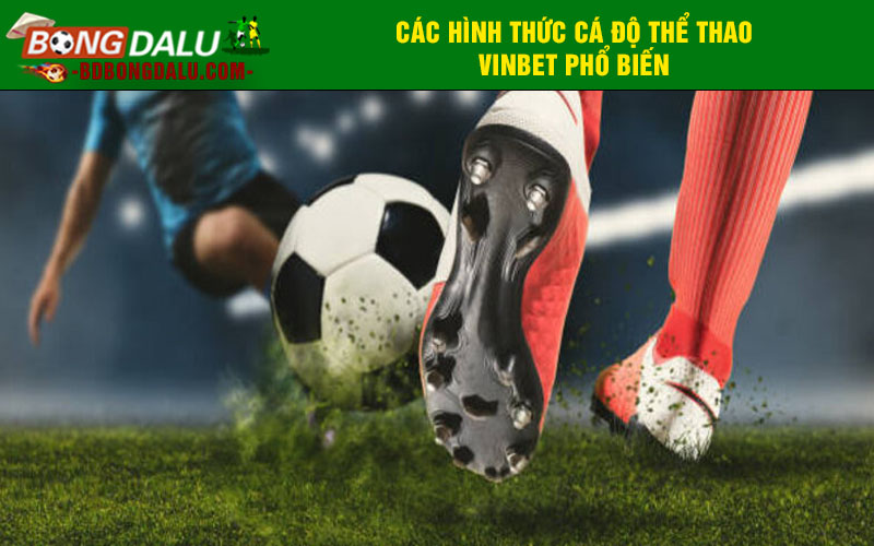Đa dạng hình thức cá cược tại sảnh thể thao Vinbet