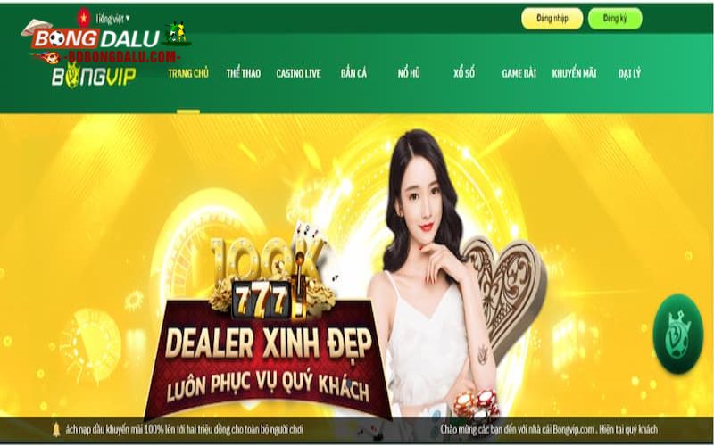 Nhà cái bongvip cung cấp những sản phẩm nào?