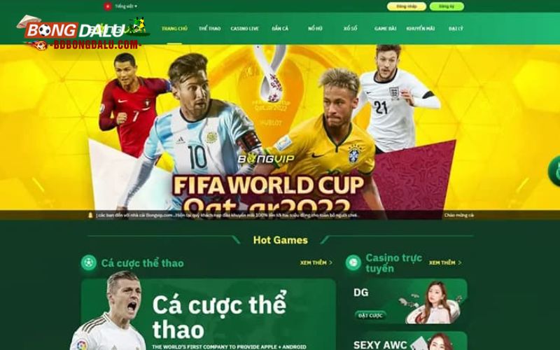 Tổng quan về nhà cái bongvip uy tín