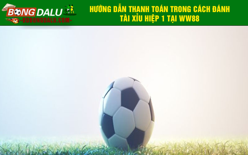 Hướng dẫn thanh toán trong cách đánh tài xỉu hiệp 1 tại WW88