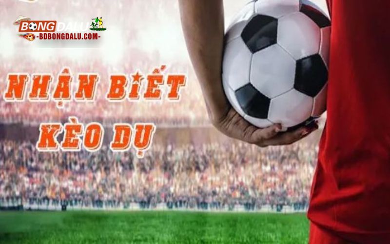 Cách nhận diện kèo nhà cái "dụ" để tránh rủi ro khi đặt cược