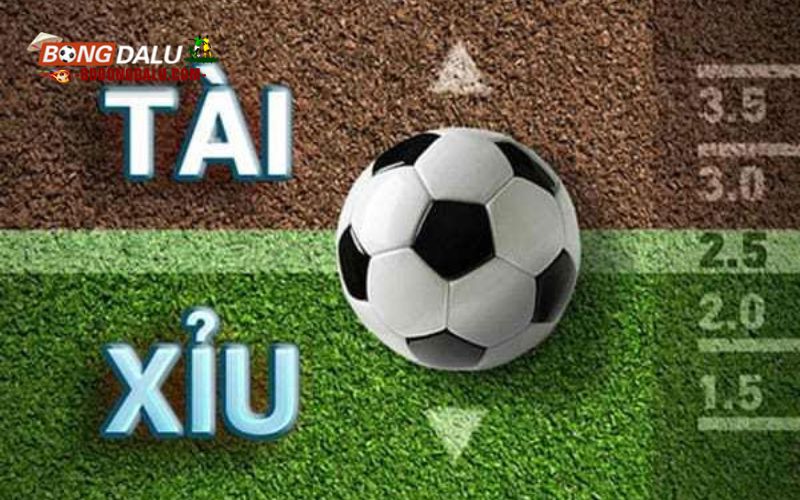 4 mẹo hay giúp bạn thắng cược tài xỉu trong bóng đá