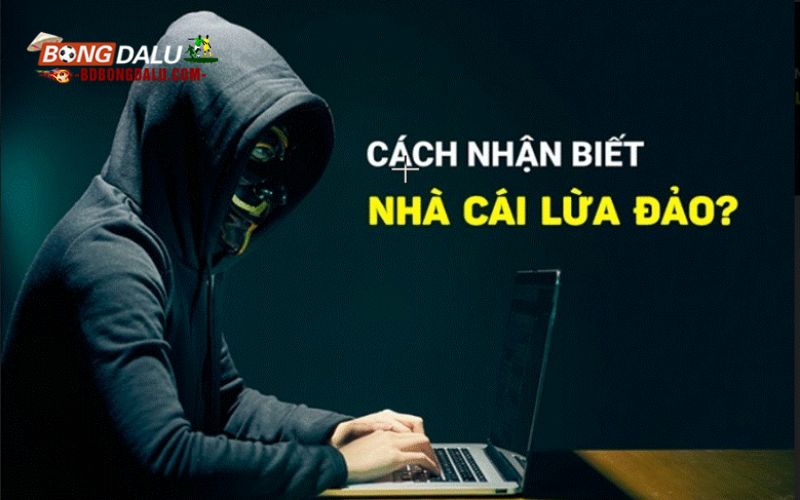 Nhà cái lừa đảo - Dấu hiệu cảnh báo ngay khi bắt đầu
