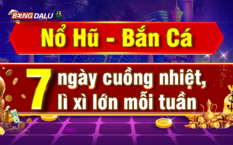 Ưu điểm làm lên tên tuổi của nohu