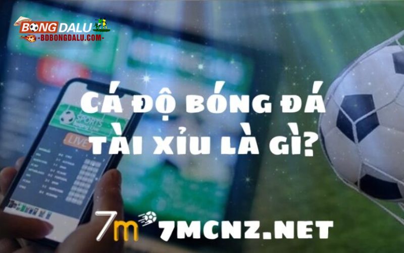 Cá độ bóng đá tài xỉu là gì?
