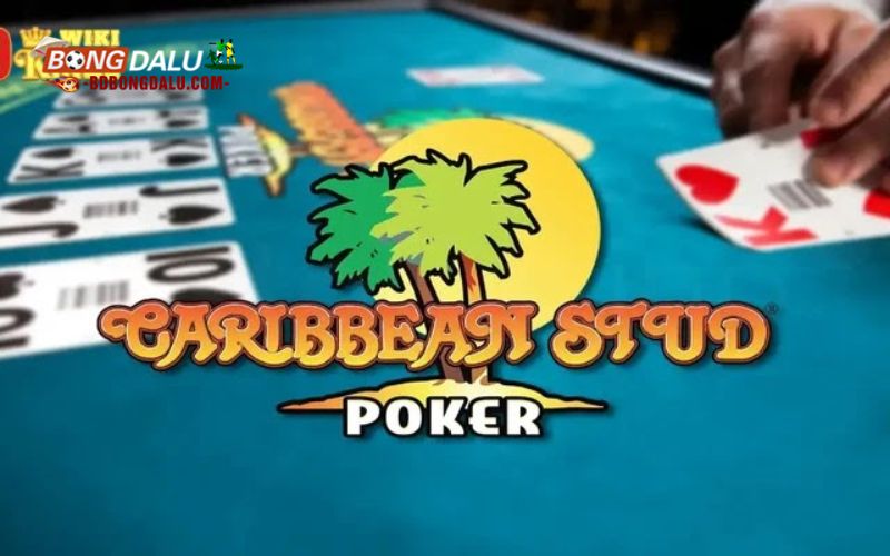 Bật mí cách tham gia chơi Caribbean Stud cho tân binh