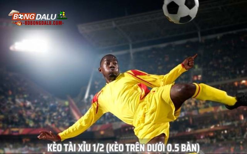 Phân nhóm các loại kèo 1/2