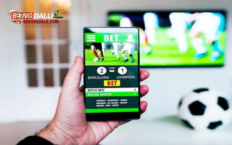 Lịch sử phát triển tại thương hiệu cá cược Vsbet